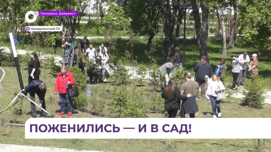 Молодые пары Находки создают в городе семейные сады