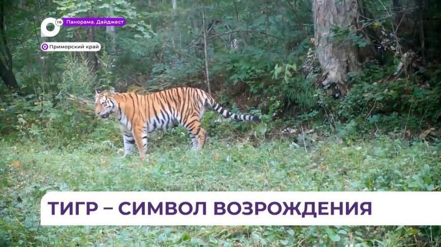 Центр «Амурский тигр» и медиахолдинг МАЕР подписали соглашение о сотрудничестве