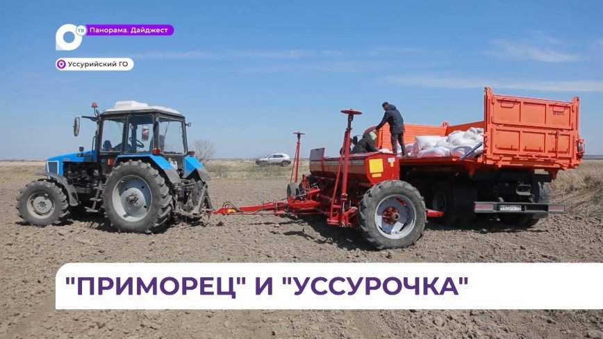 Уссурийские поля федерального научного центра засеют «приморцем» и «уссурочкой»