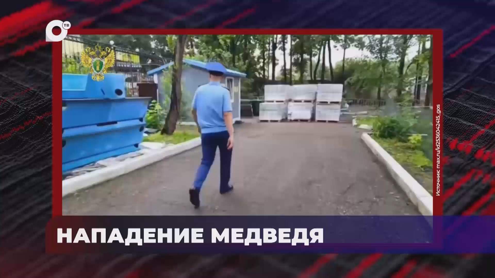 В порядке! / Нападение медведя / 04.08.26