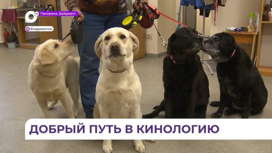 Во Владивостоке состоялась презентация проекта для детей «Путь в кинологию»