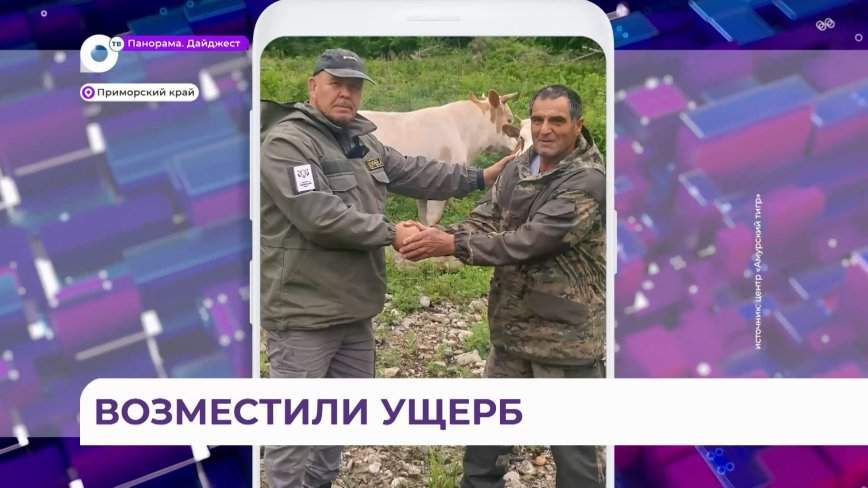 Приморцам, пострадавшим от тигра, компенсировали убытки