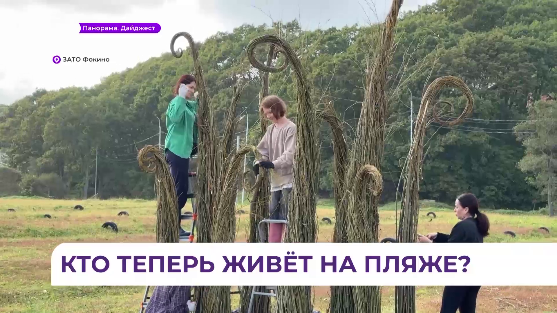 Морские арт-объекты появились на одной из баз отдыха в Фокино