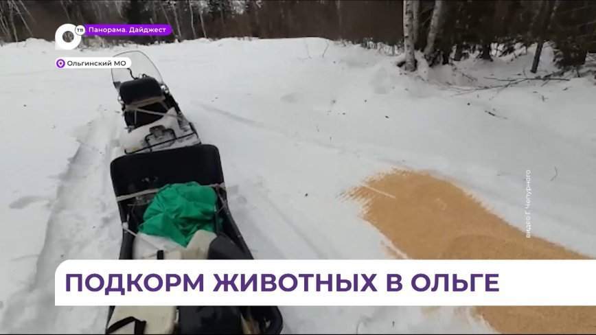 Подкорм диких животных продолжается в Ольгинском округе