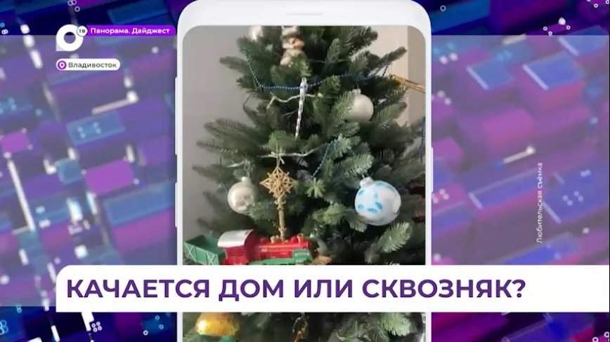 Сильный ветер раскачивает дом на сопке «Орлиное гнездо»