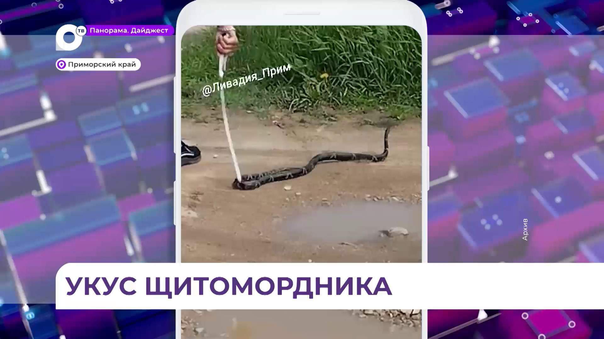 Грибник едва не погиб после встречи со щитомордником на Емаре