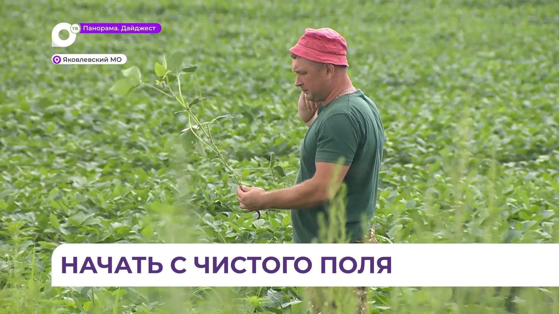 Мелиорация должна помочь Приморью почти полностью обеспечить себя собственной продукцией 