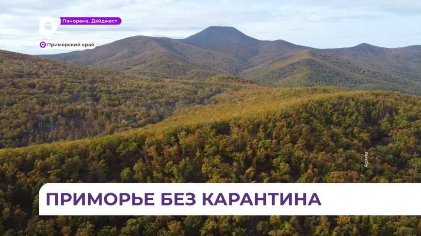 В Приморском крае отменили карантинные фитосанитарные зоны по большому и малому еловому усачу