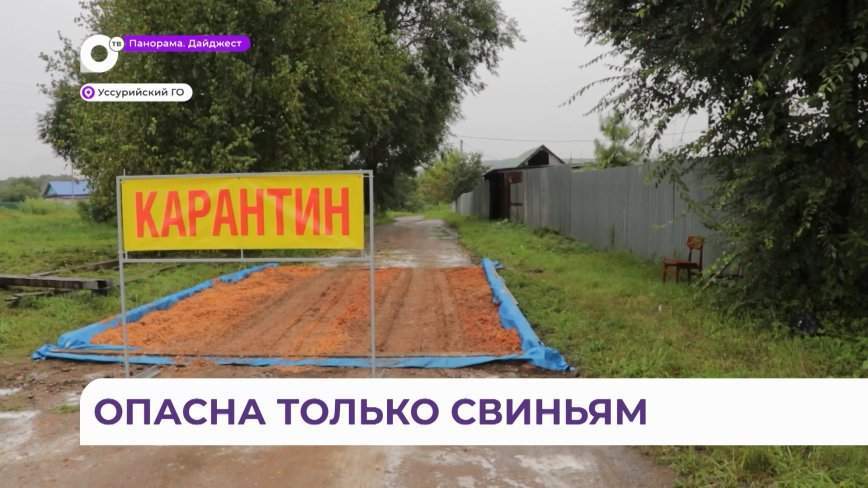 Территория закрыта на карантин: в Приморье обнаружен очаг опасного заболевания