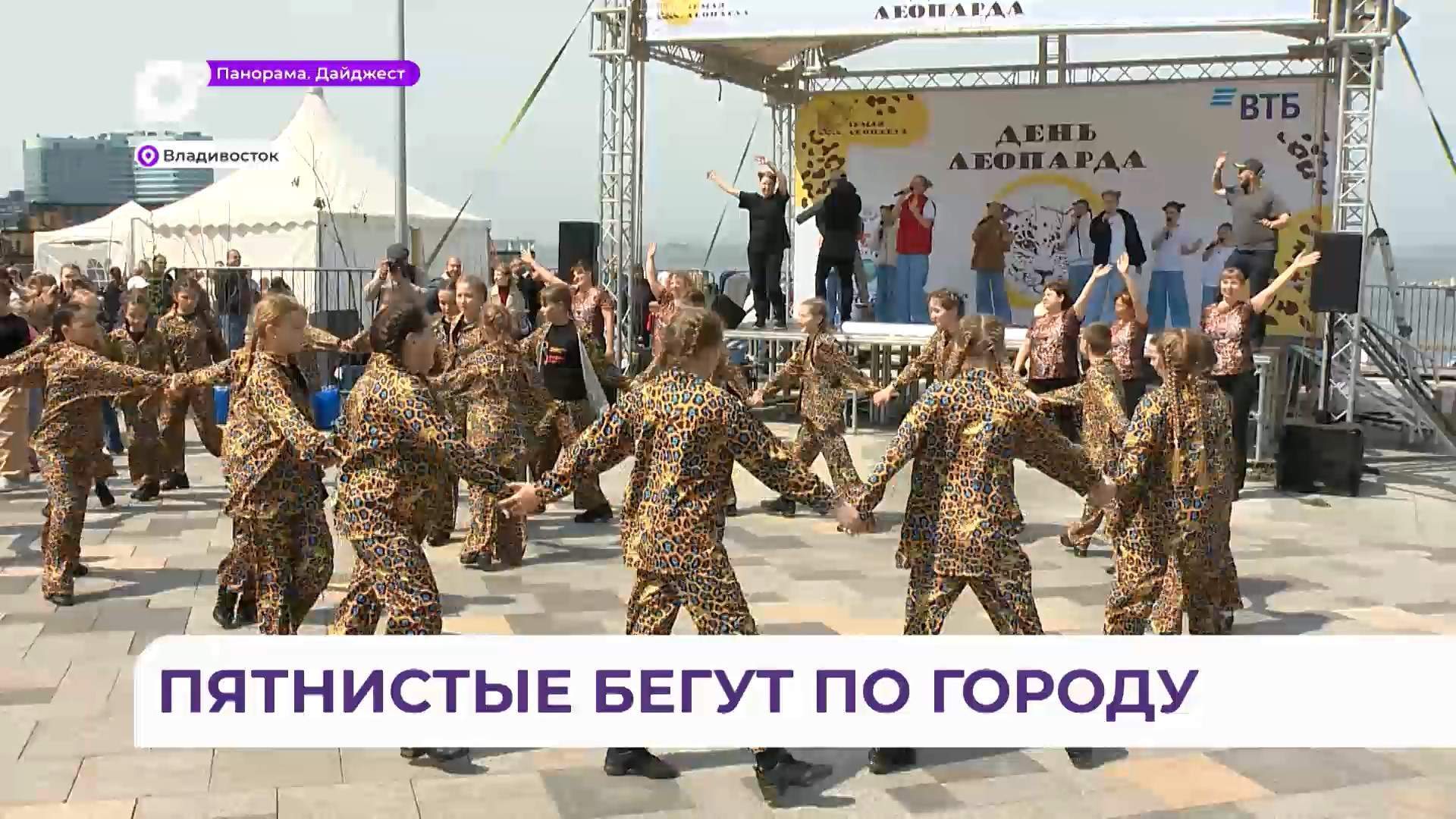 Шестой фестиваль «День Леопарда» с размахом прошёл во Владивостоке