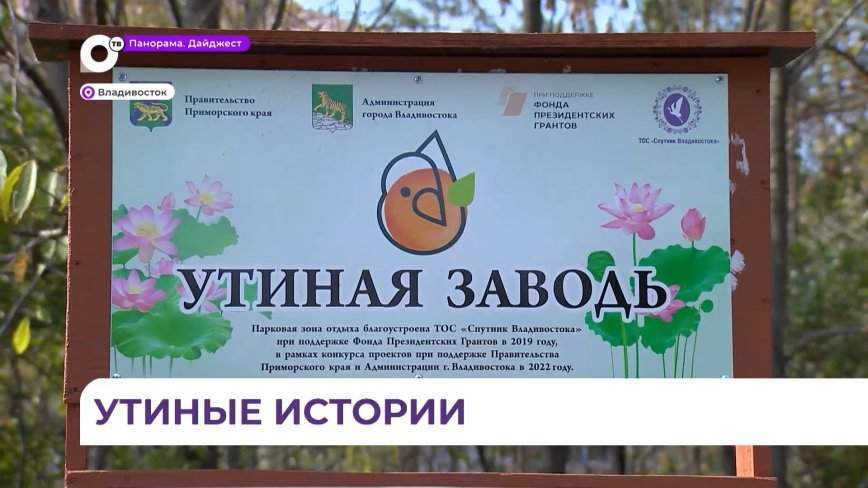 Резные кормушки, антуражная детская площадка: во Владивостоке торжественно открыли «Утиную заводь»