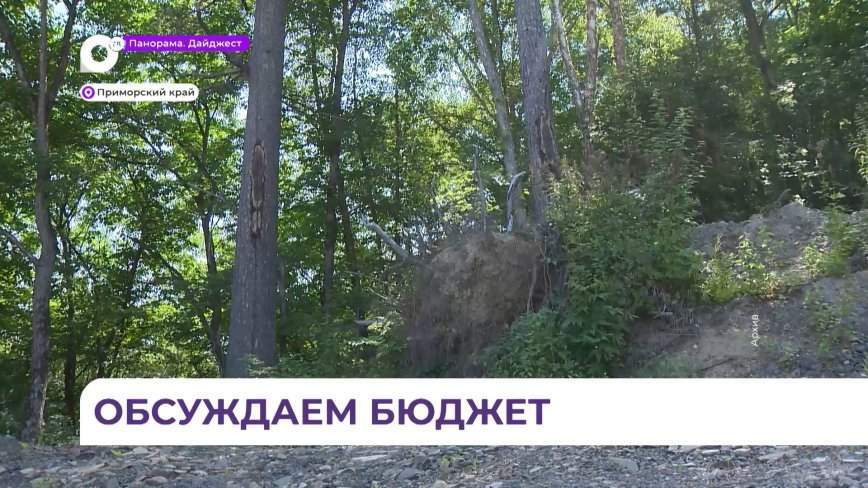 Функционал Министерства лесного хозяйства расширился