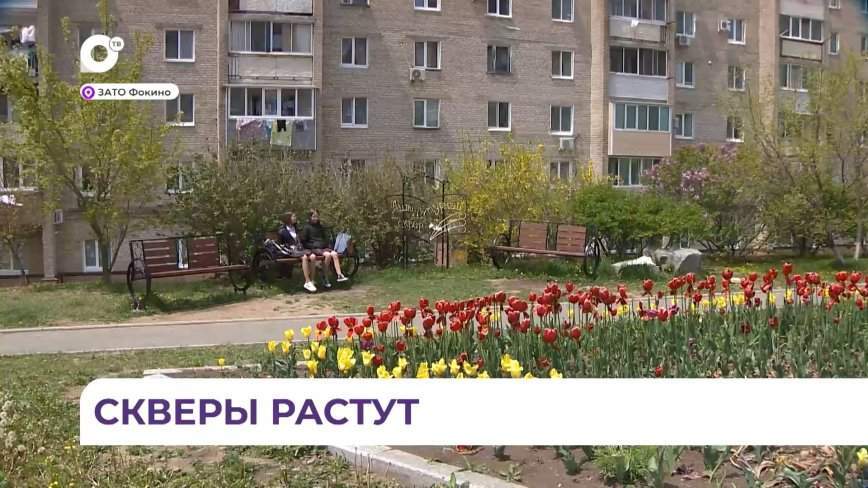 Жители Фокино голосуют за благоустройство популярного городского сквера