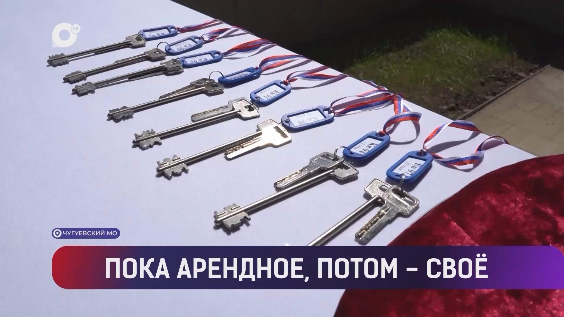 Выводы / До выборов остаётся неделя / 12.09.26