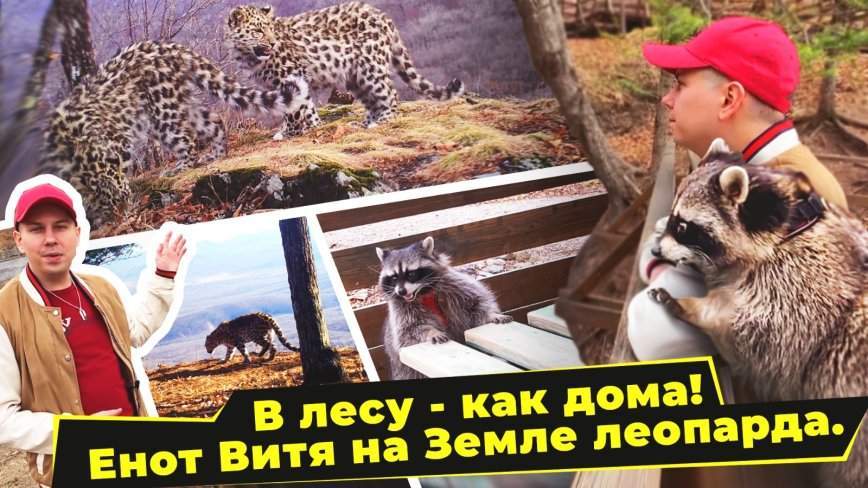 Енот и народ / Земля Леопарда / 26.05.23