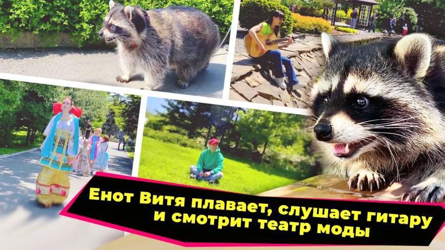 Енот и народ / Ботанический сад  / 21.07.23