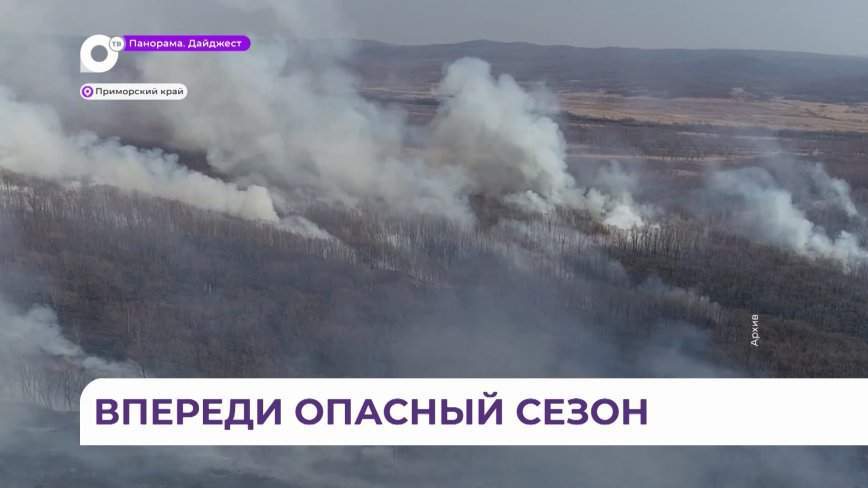 Лесных пожаров в Приморье стало почти в два раза меньше