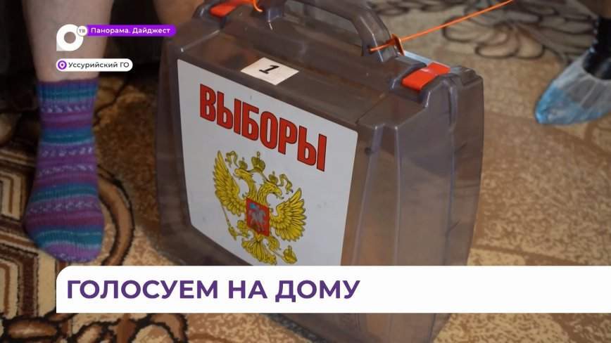Правом голосовать на дому в Приморье может воспользоваться каждый