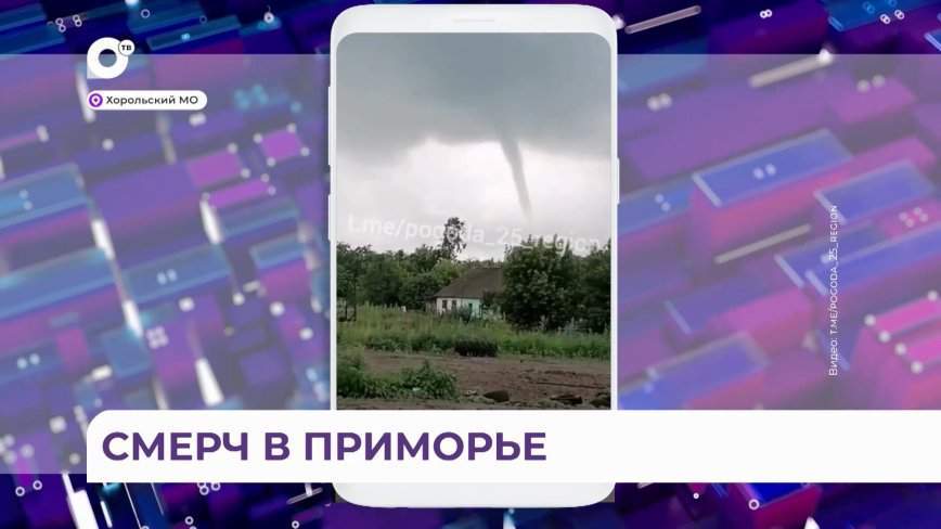 Случайными свидетелями редкого явления стали жители Приморья — видео