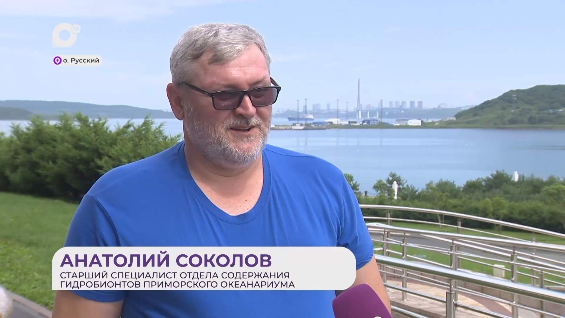 Прямая речь / Об особенностях фугу / 14.08.26