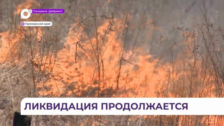 С лесными пожарами борются на территории Приморья