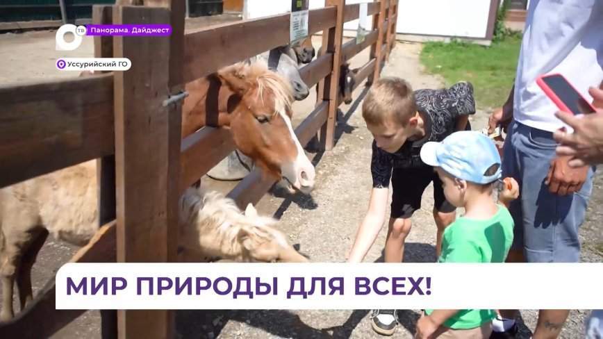 «Чудесный» зоопарк открывает двери для любителей мира волшебной природы