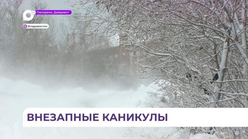 Школьникам из Дальнегорска организовали культурную программу во время вынужденных мини-каникул