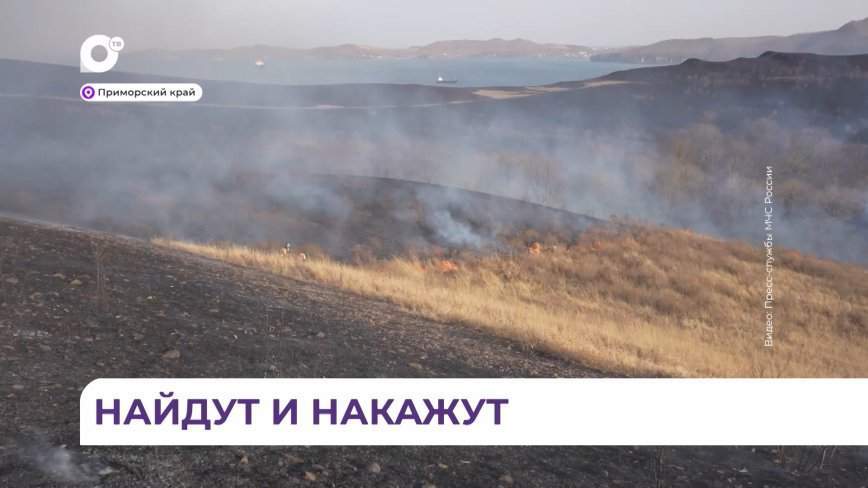 Пожары площадью свыше 2000 гектаров ликвидировали в Приморье