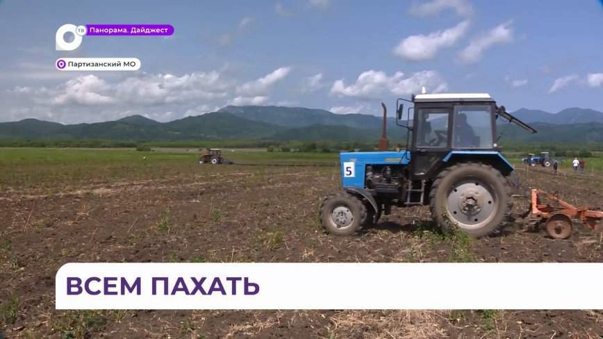 Профессия трудна, но необходима: конкурс пахарей прошел в Приморье