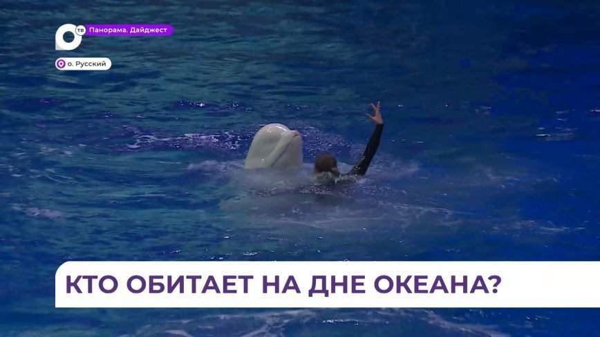 Дети из детдома отправились в путешествие по подводному миру в Приморский океанариум