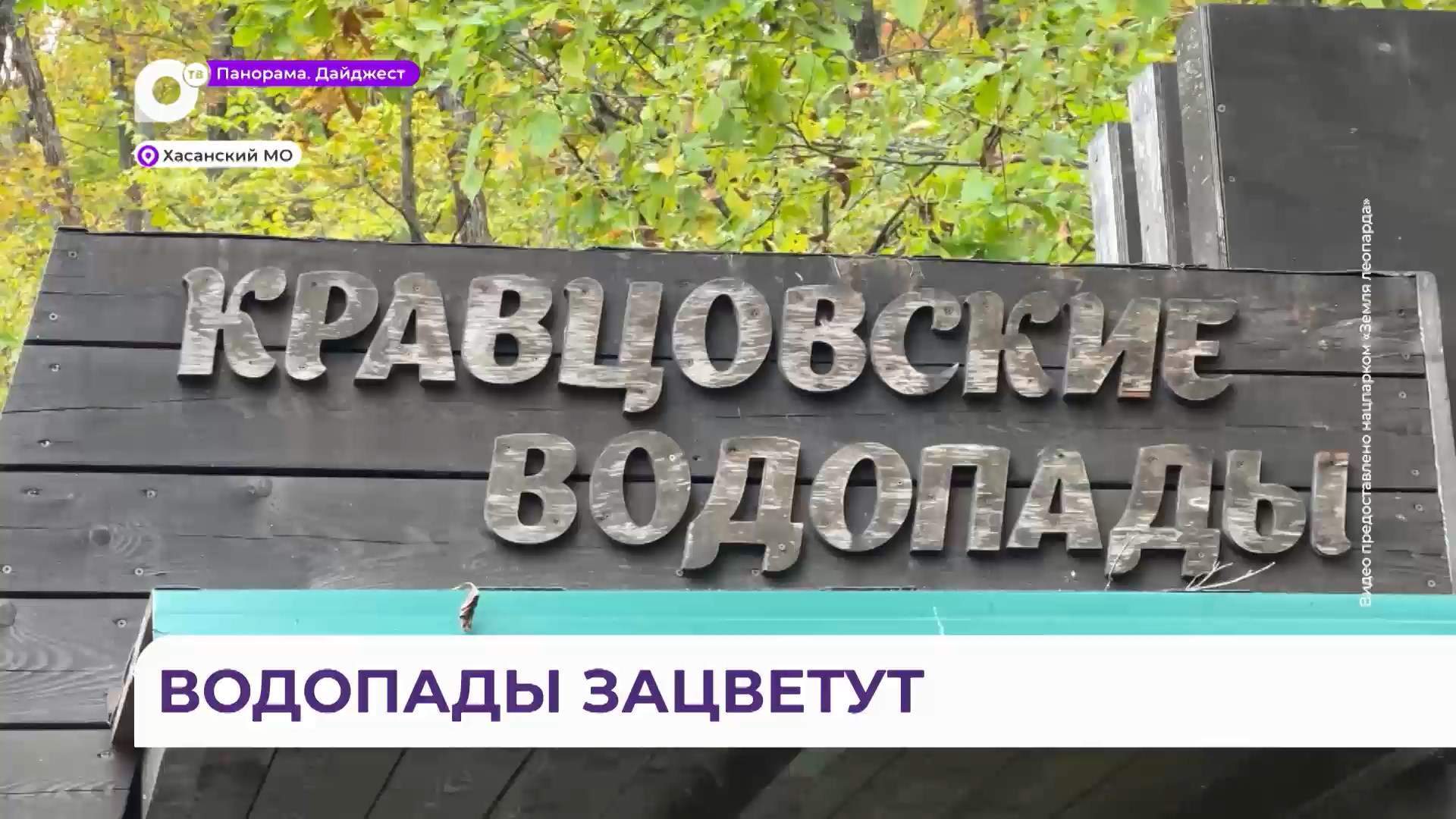 Озеленение Кравцовских водопадов провели под лозунгом «Лес, живи, лес, цвети, водопады береги»