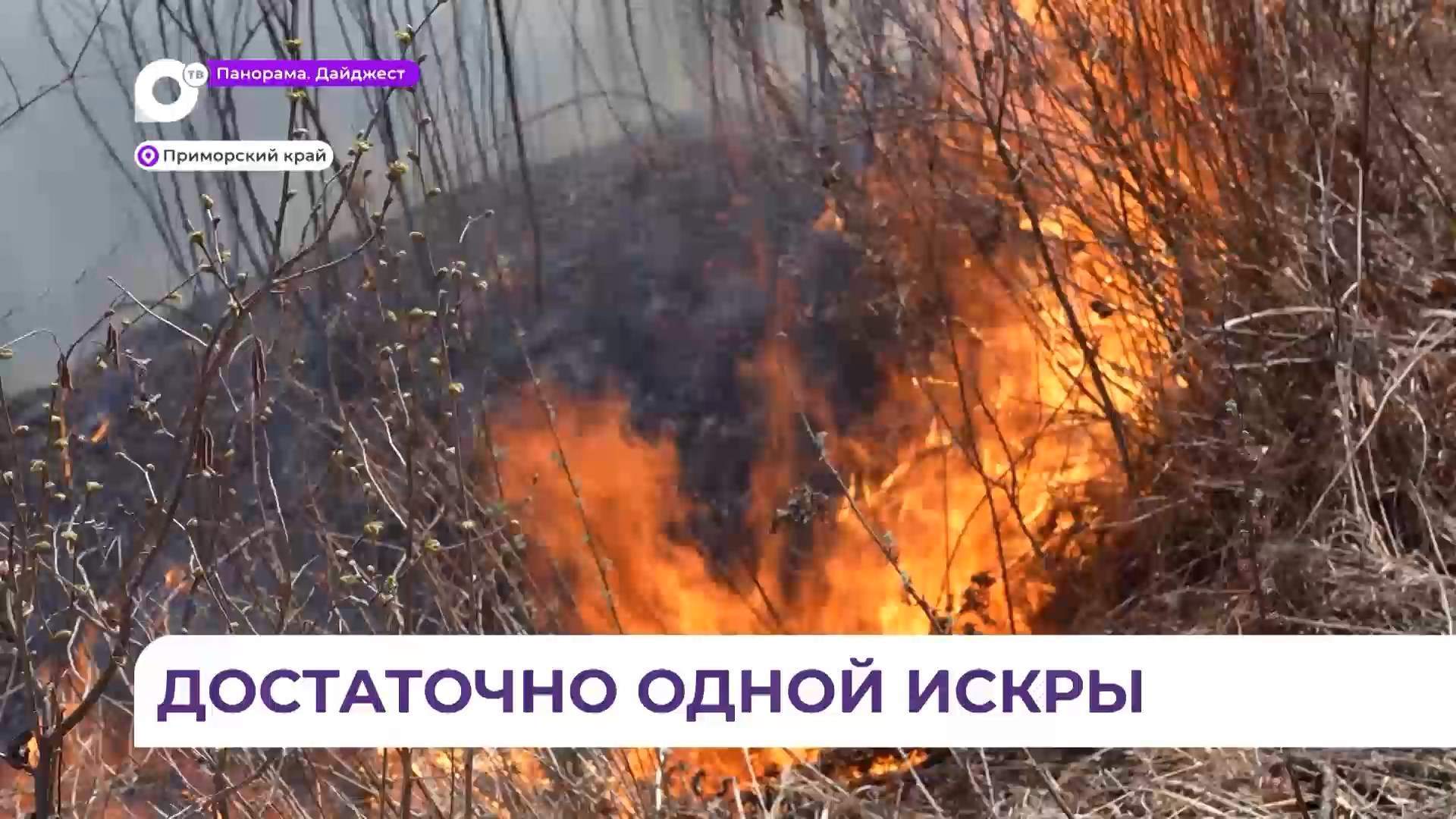 В Приморье огонь одновременно охватил десятки гектаров земли в разных округах