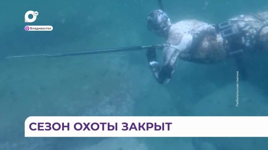 В ластах и с арбалетами: подводные охотники соревновались во Владивостоке