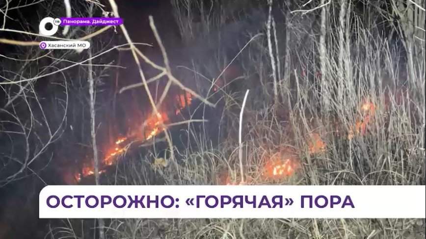Начало весны выдалось «жарким» для Хасанского округа