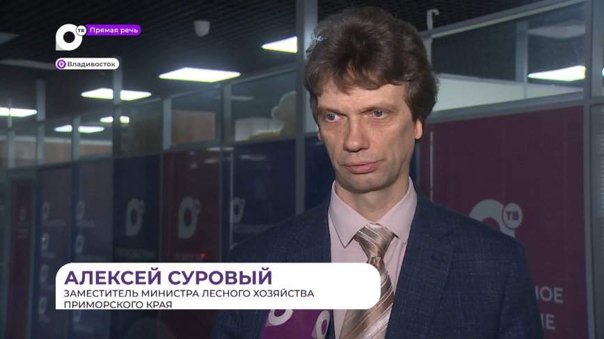 Прямая речь. О ситуациях с тиграми