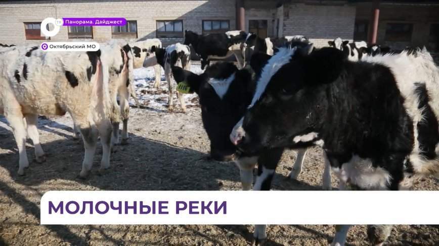 В Приморье увеличился объем производства молока