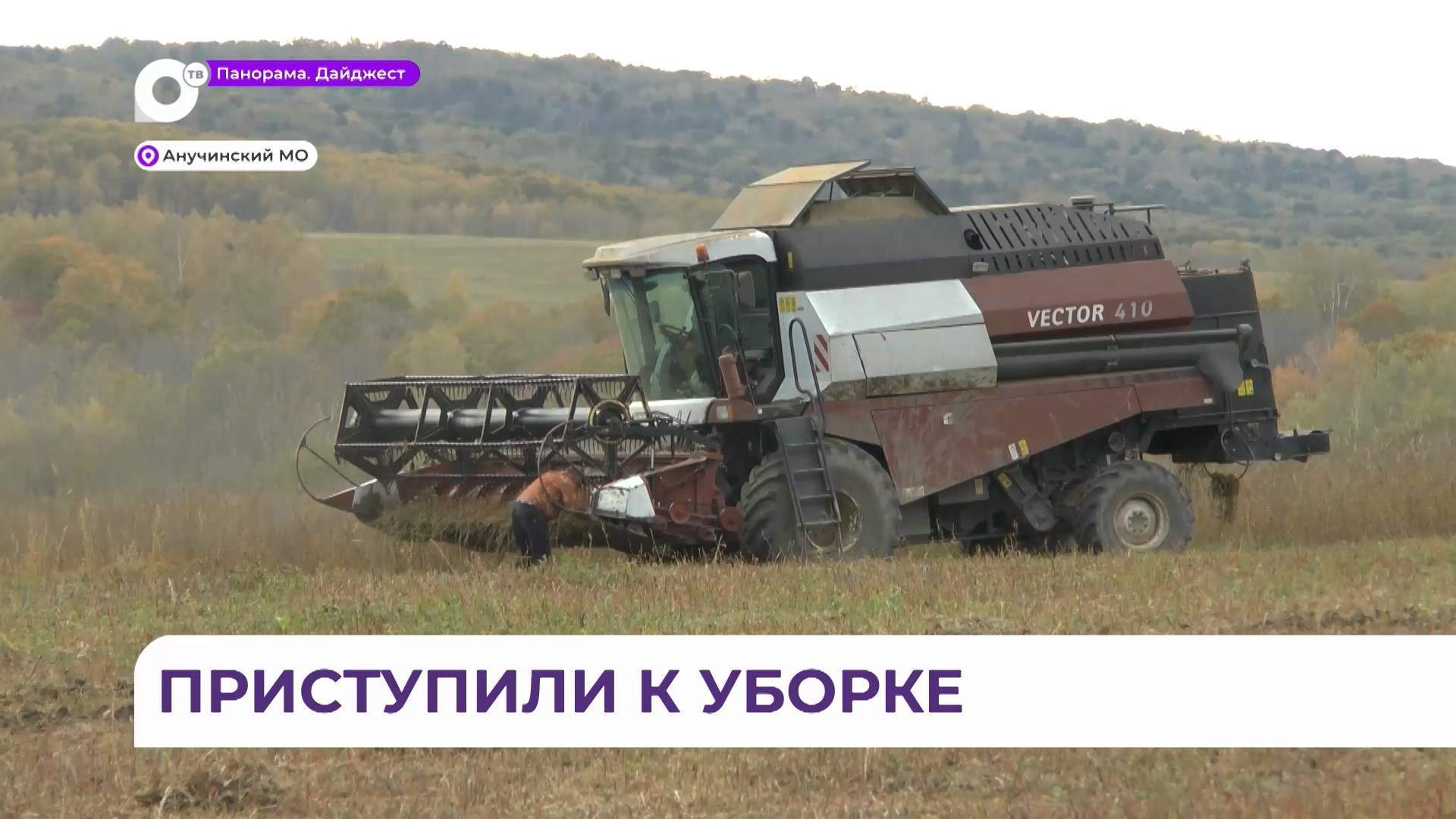 В Анучинском округе наступили благоприятные условия для уборки сои