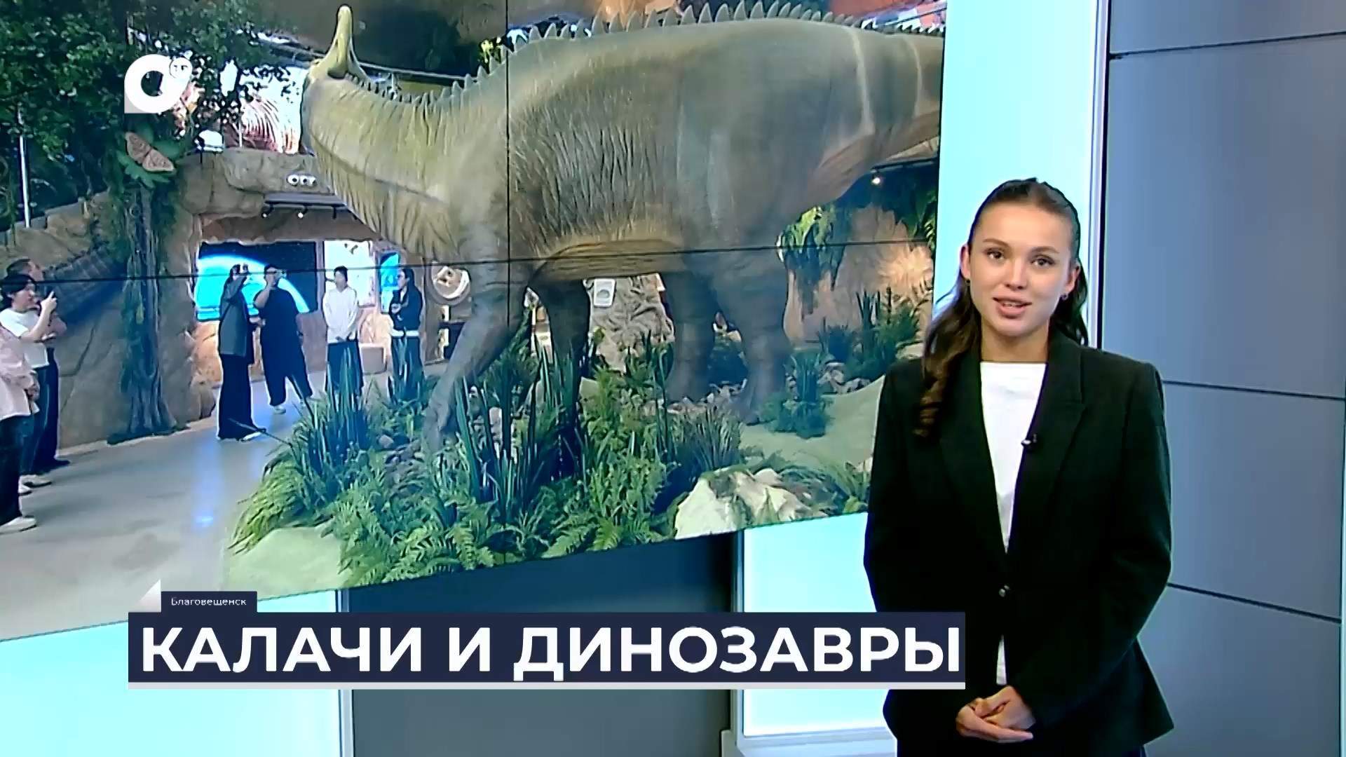 Дальний Восток на связи / Калачи и динозавры