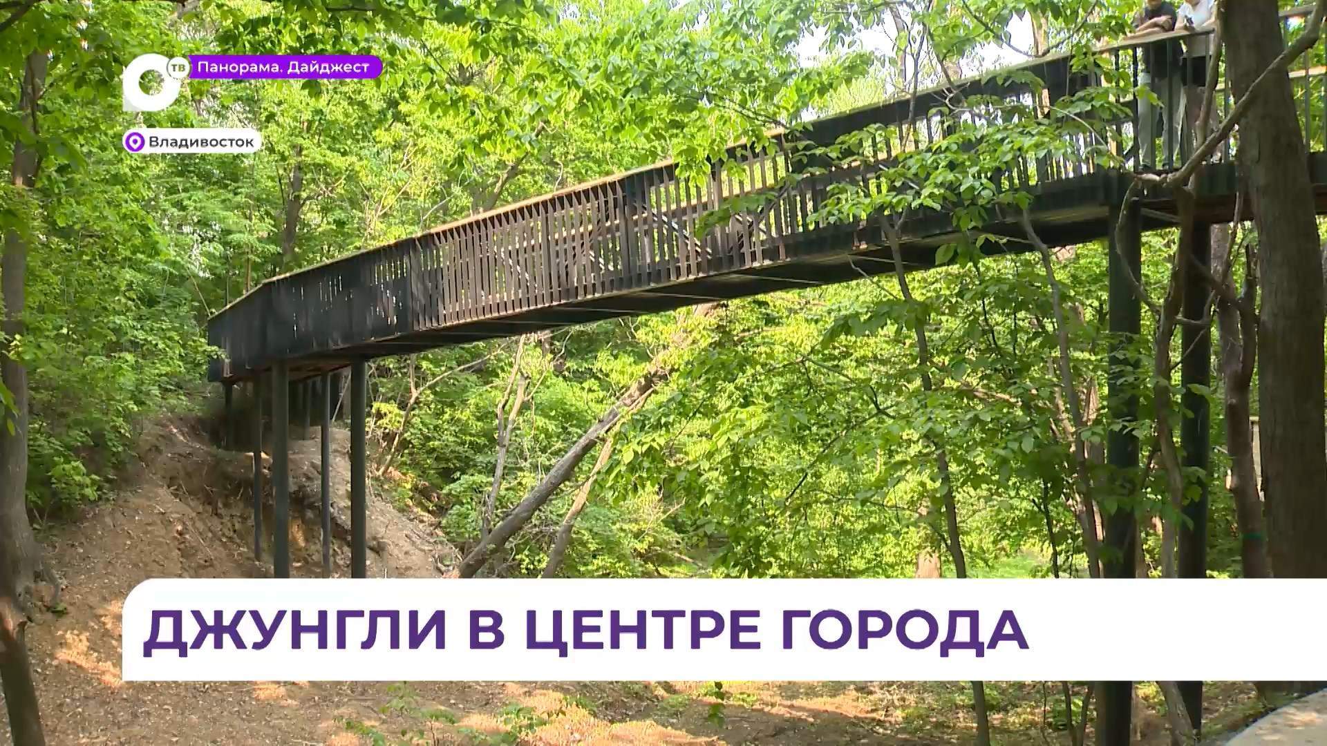 Благоустроенный сквер на Кирова во Владивостоке пользуется популярностью у горожан