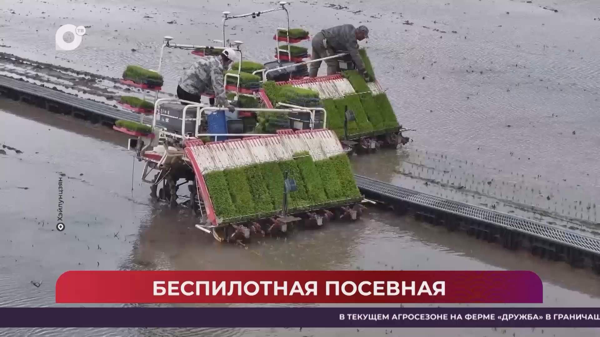Китайская шкатулка / 31.05.25