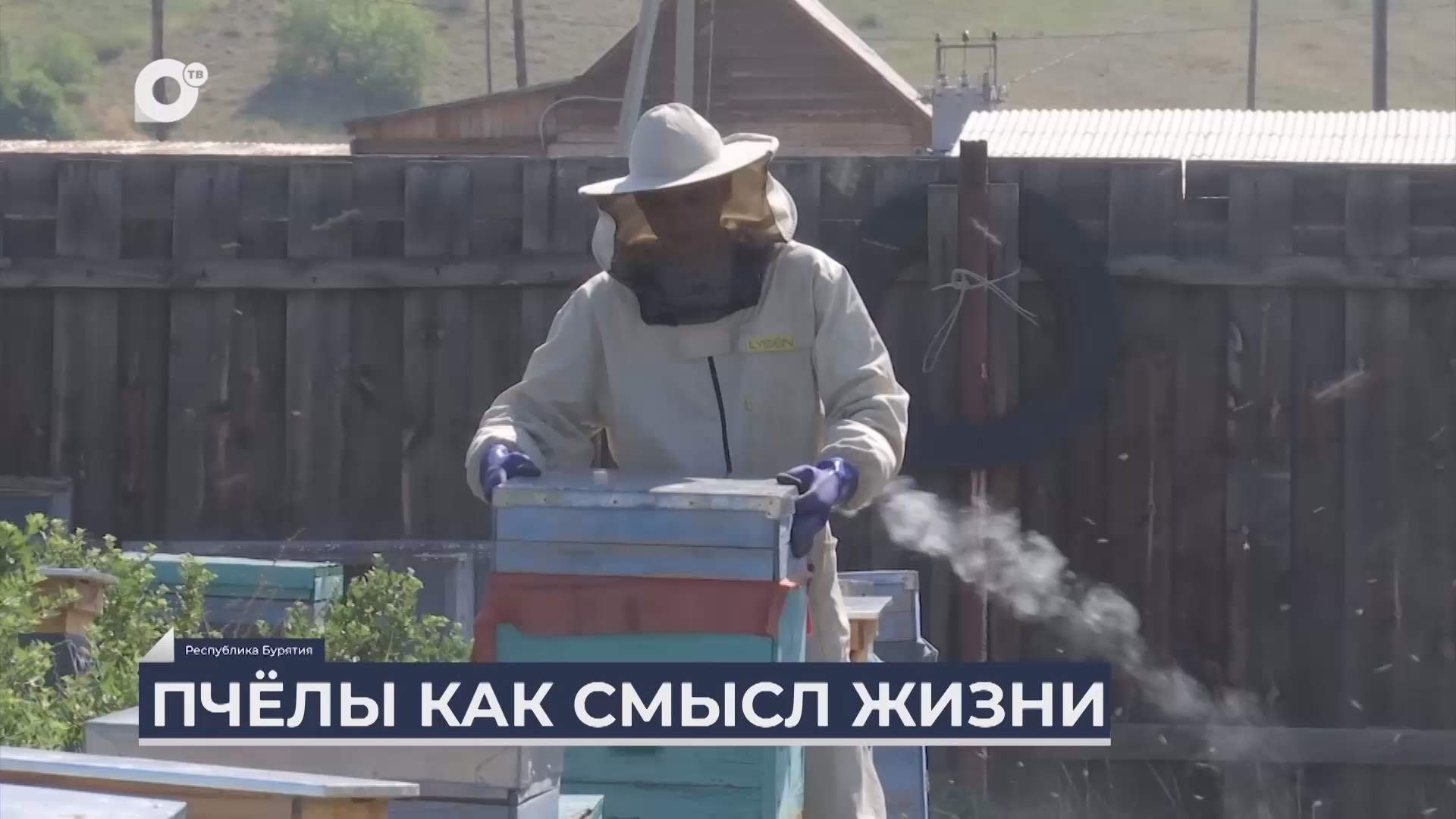 Дальний Восток на связи / Пчёлы как смысл жизни 