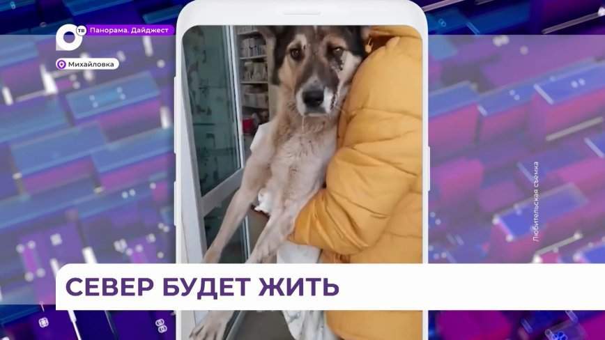 Подробности шокирующего случая жестокого обращения с животным в Приморье
