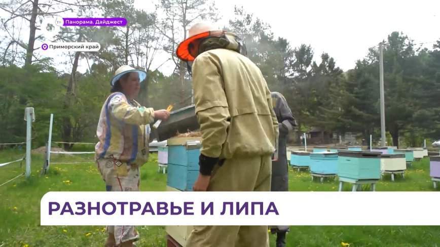 31 августа в Приморье отметят День пчеловода