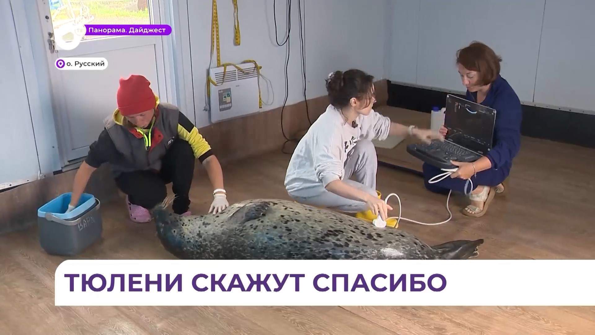 В Приморье на исследовательской базе морских млекопитающих развиваются новые технологии