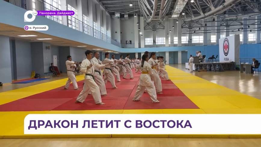 Масштабный фестиваль «Восточный дракон» собрал сотни поклонников единоборств