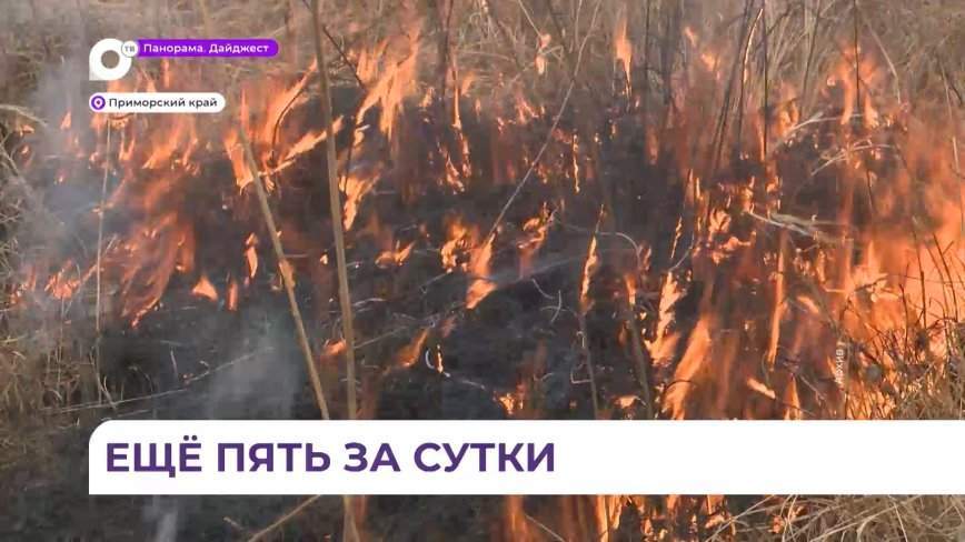 Пять пожаров потушили за сутки в Приморье