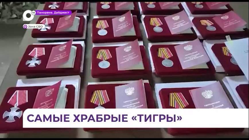 Орденами Мужества и медалями «За храбрость» II степени наградили приморских «Тигров»