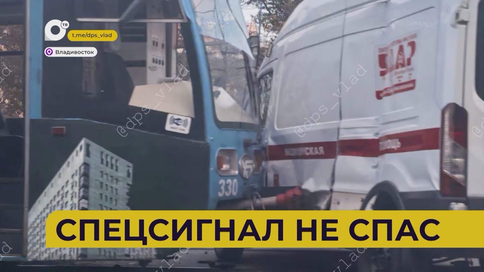 Автопатруль112 / Попала под автобус / На красный свет / Обокрала ребёнка / 17.10.25