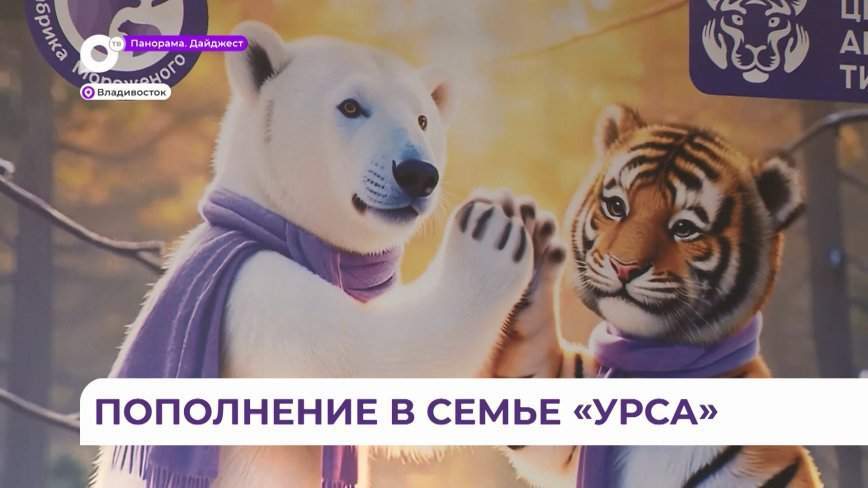 Новое «тигриное» мороженое от «УРСА» поможет сохранить амурского тигра