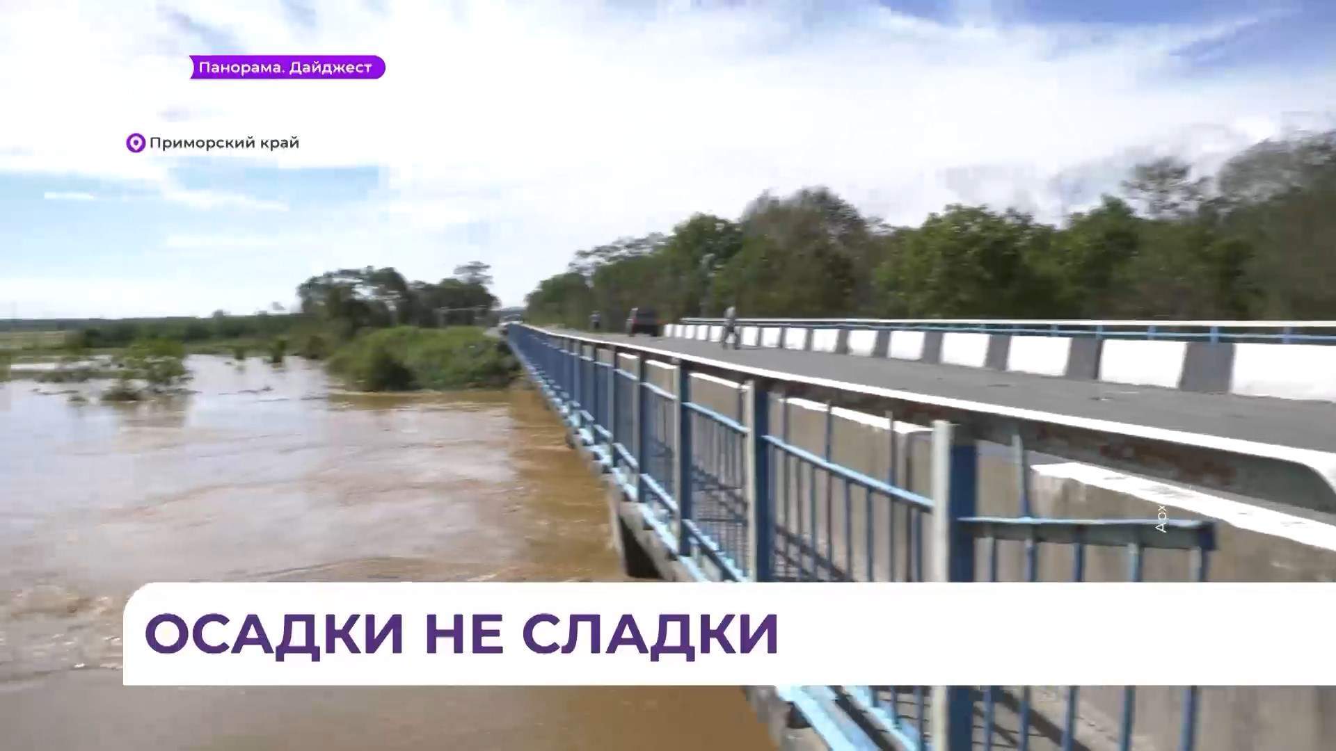 Сильные дожди принесли в Приморье новые паводки и подтопления
